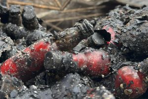 У Києві ракетою знищено склад українського виробника соусів “Вогняр”