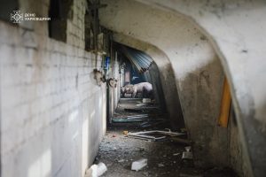 На Харківщині 13 тисяч свиней загинули в результаті російської атаки БпЛА (фото)