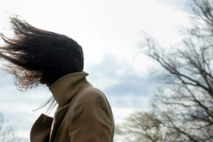 Жителів Києва та області попереджають про сильні пориви вітру завтра, 24 жовтня