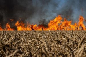 Збитки довкіллю від війни рф проти України склали вже майже 6 трлн грн