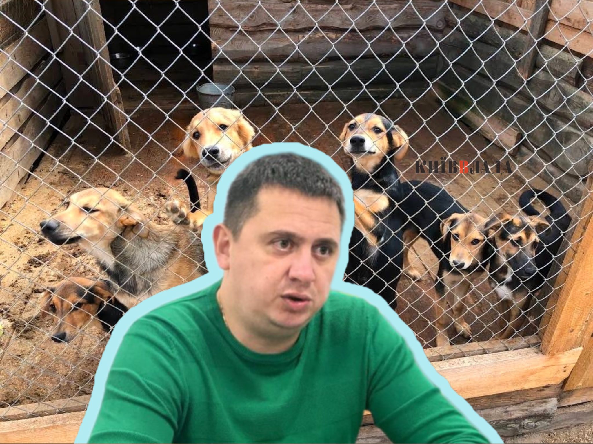 Зміна пріоритетів: Київрада відкоригувала програму поводження з тваринами Зміна пріоритетів: Київрада відкоригувала програму поводження з тваринами