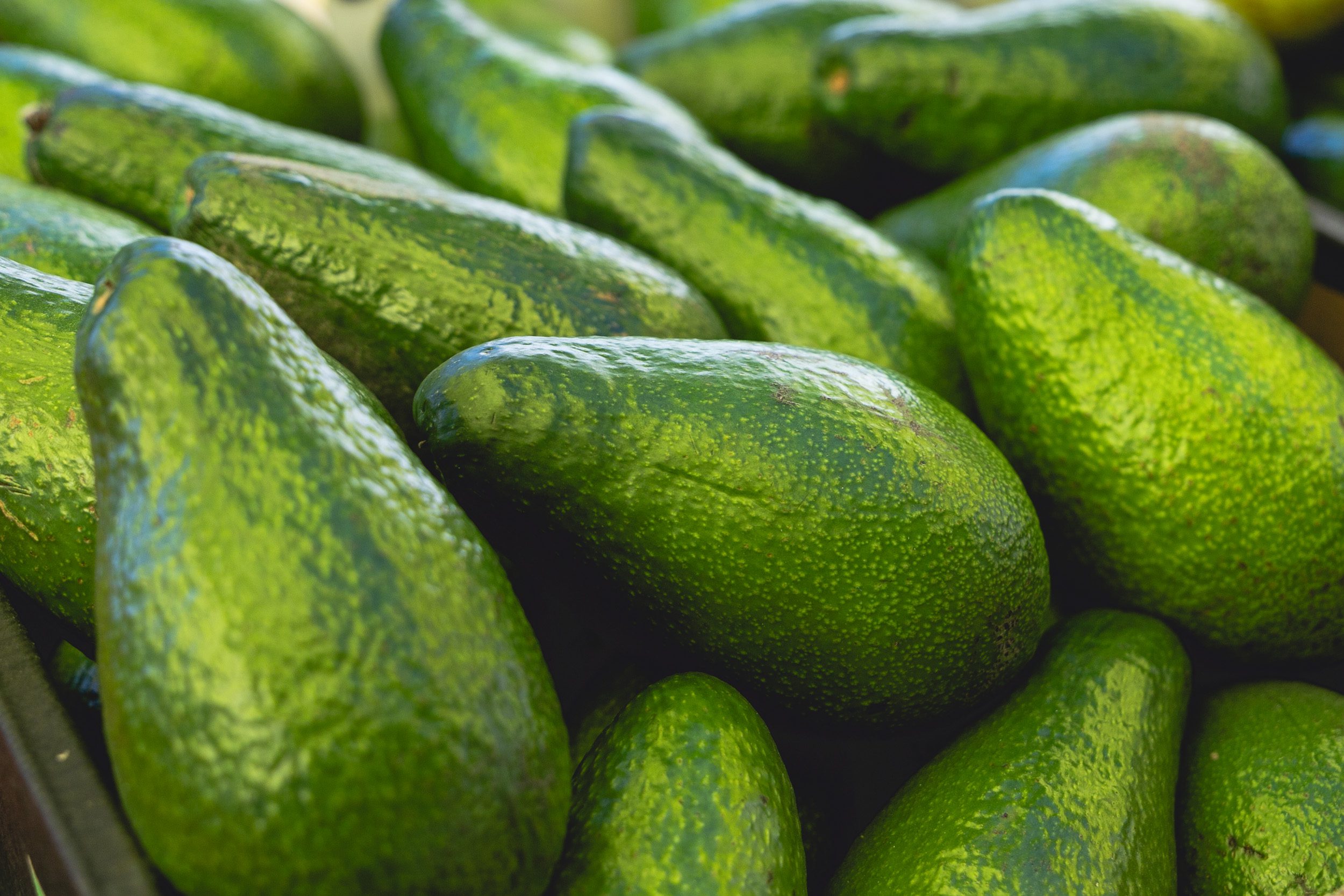 У Києві цього тижня пройдуть традиційні сільськогосподарські ярмарки (локації)