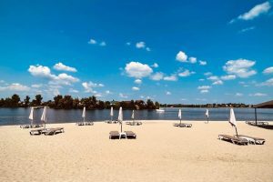 На пляжах Києва за 897 тис гривень понищать щурів і мишей