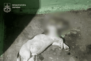 У Києві жінка викинула цуценя з 5 поверху У Києві жінка викинула цуценя з 5 поверху