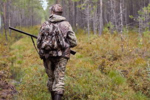 На Київщині погоджено відстріл диких хижих тварин, як профілактичний захід проти сказу