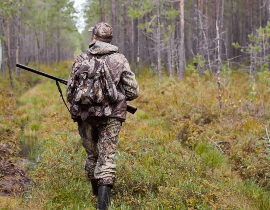На Київщині погоджено відстріл диких хижих тварин, як профілактичний захід проти сказу