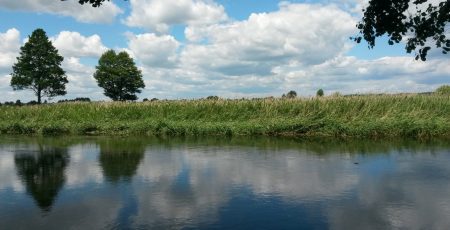 Річка-герой Ірпінь опинилася під загрозою знищення, бо обліковується як меліоративна інфраструктура, - КЕКЦ