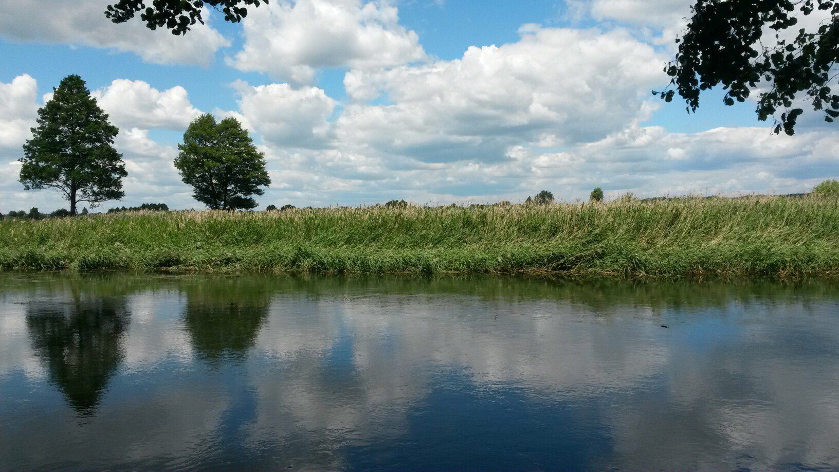 Річка-герой Ірпінь опинилася під загрозою знищення, бо обліковується як меліоративна інфраструктура, - КЕКЦ