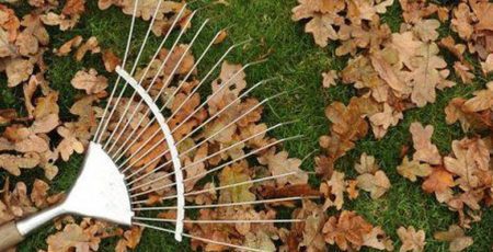 Вишгород спрямовує понад мільйона гривень на утилізацію опалого листя та гілок