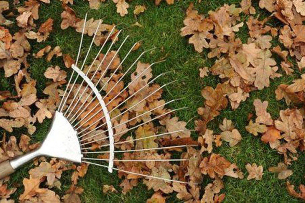 Вишгород спрямовує понад мільйона гривень на утилізацію опалого листя та гілок