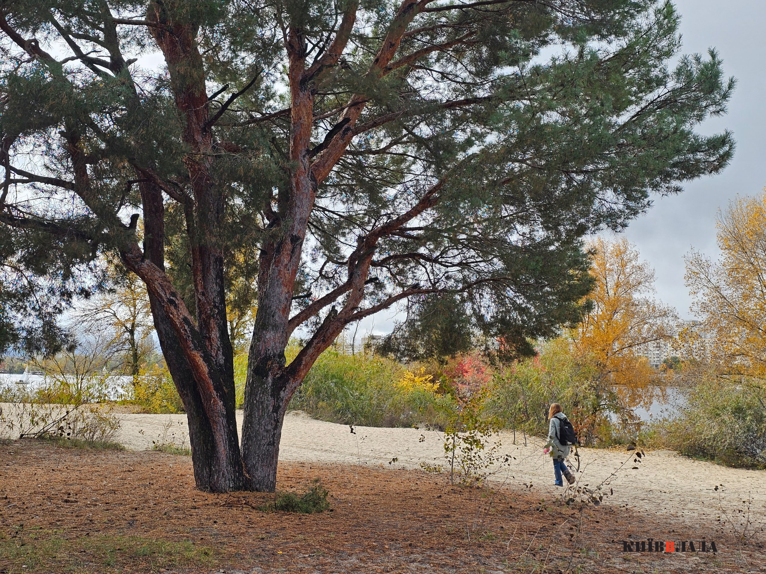 “Собаче гирло” в пастці: хто і за якими схемами хоче забудувати косу на Дніпрі