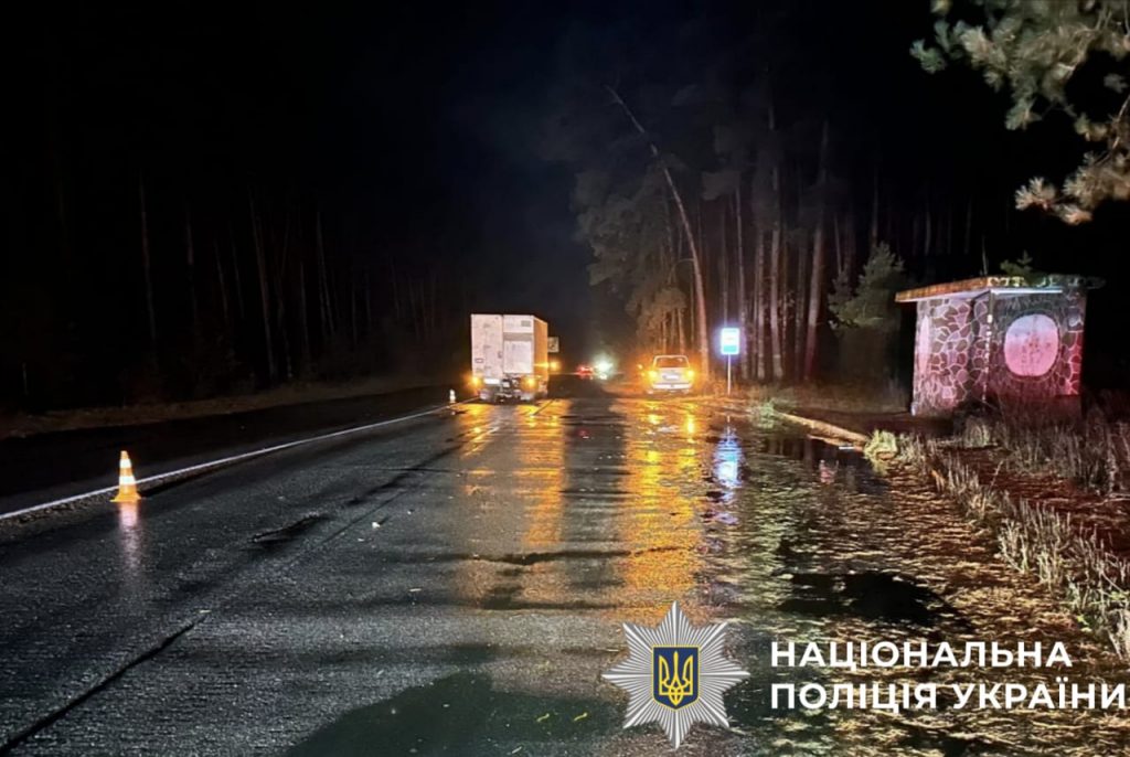ДТП на Вишгородщині : “спринтер” збив насмерть жінку, що раптом вибігла на дорогу На Вишгородщині “спринтер” збив насмерть жінку, що раптом вибігла на дорогу
