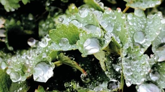 У Києві зафіксували перший осінній мороз