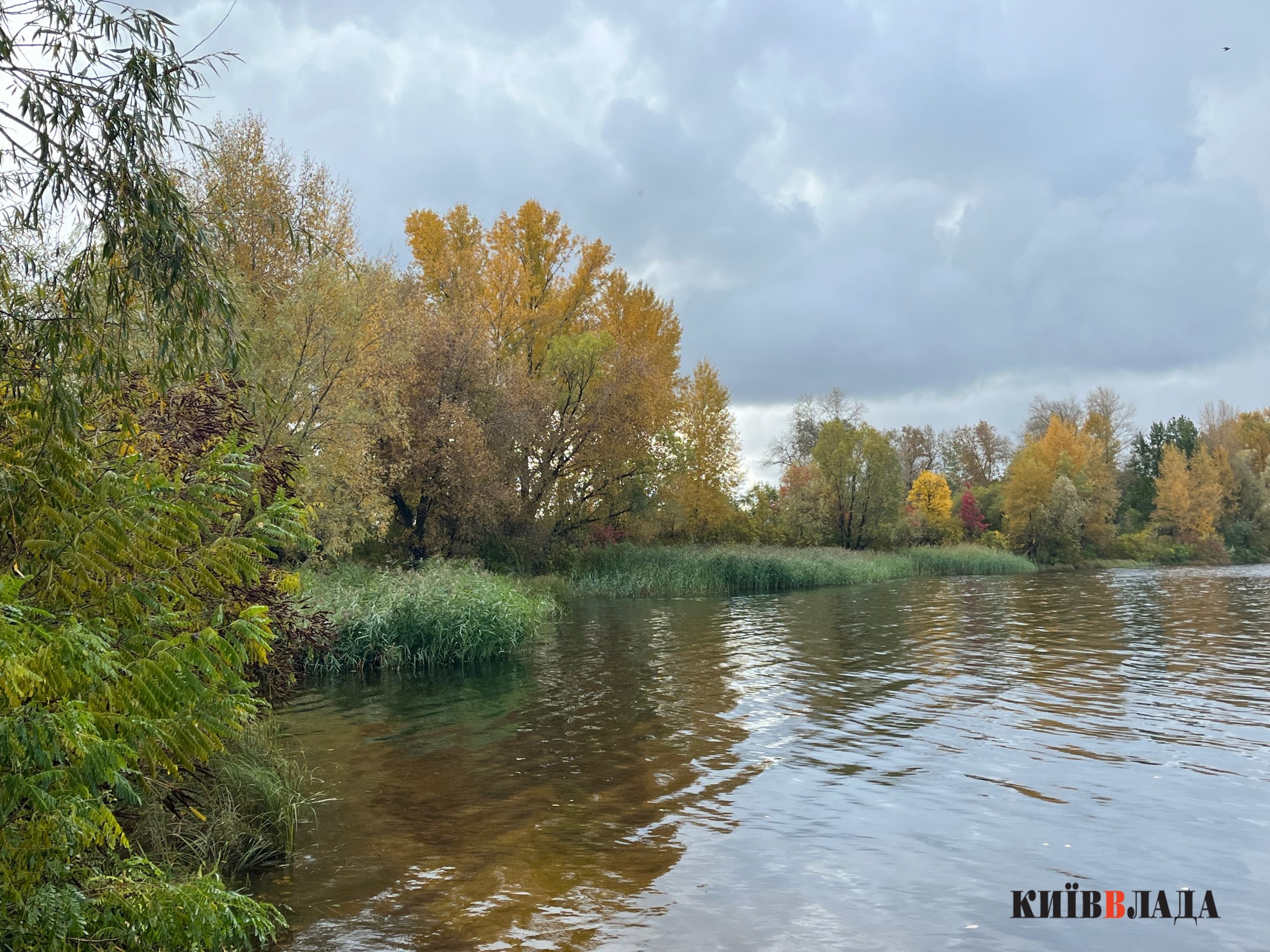 “Собаче гирло” в пастці: хто і за якими схемами хоче забудувати косу на Дніпрі “Собаче гирло” в пастці: хто і за якими схемами хоче забудувати косу на Дніпрі
