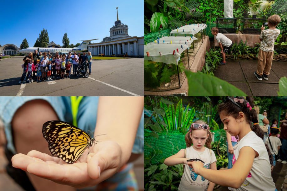 На Київщині діти з патронатних родин отримали яскраві враження від тропічного світу метеликів