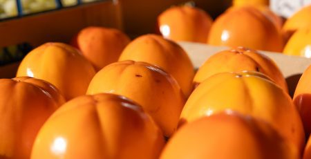 У Києві цього тижня пройдуть традиційні сільськогосподарські ярмарки (локації)