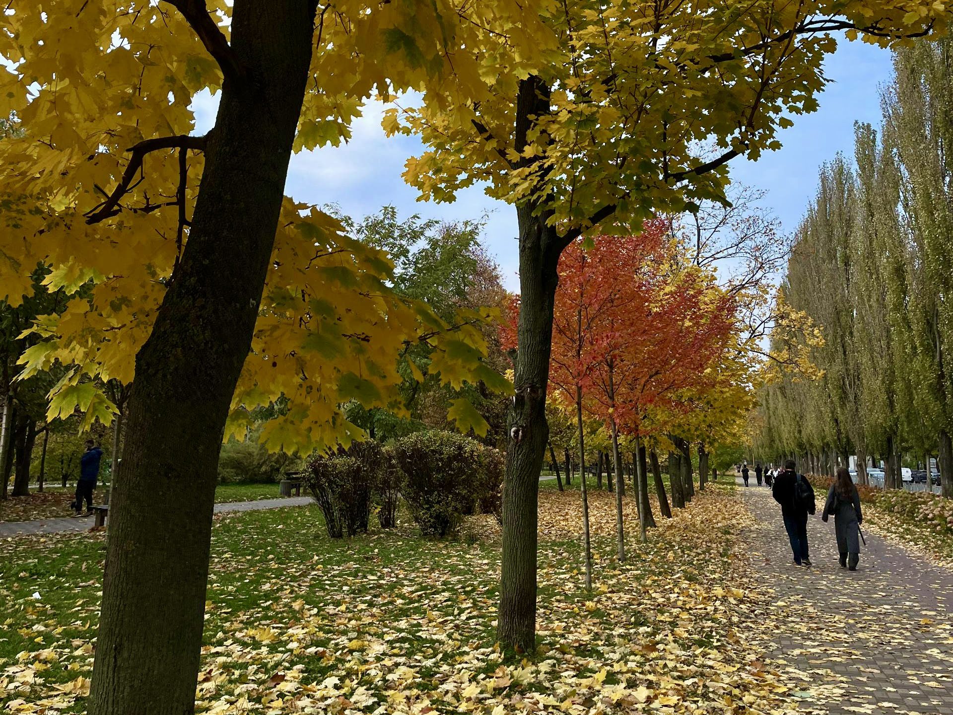 Де на Лівому березі Києва зробити атмосферні світлини