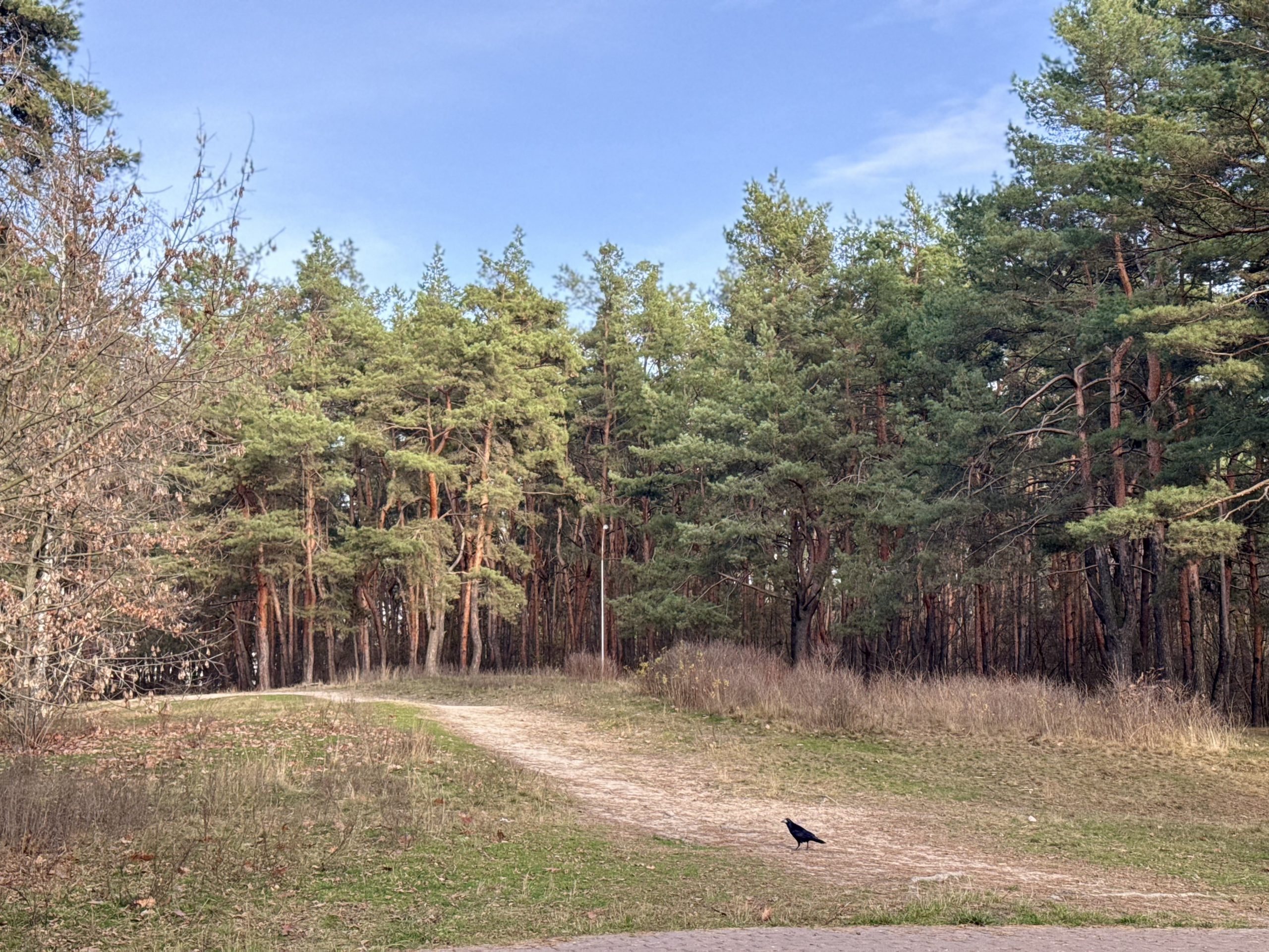 Де на Лівому березі Києва зробити атмосферні світлини