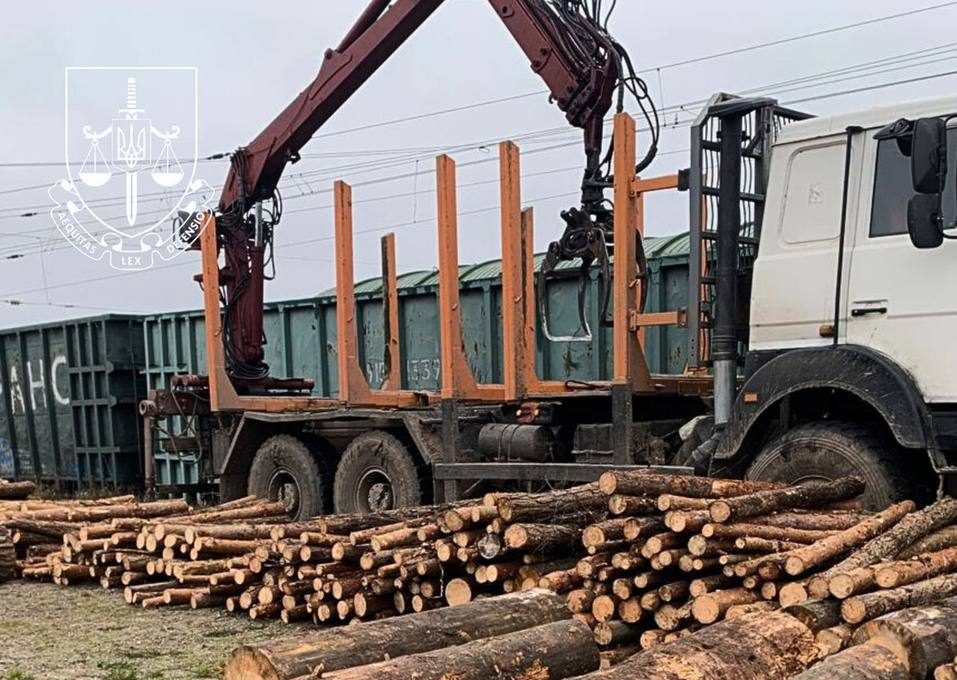 На Київщині правоохоронці викрили наймасштабнішу схему контрабанди цінної деревини до ЄС (фото)
