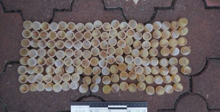 У Києві затримали чоловіка з 150 колбами екстракту канабісу