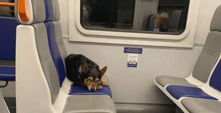 Між станціями "Почайна" – "Райдужний" рух кільцевої електрички тимчасово припинено до 13 грудня