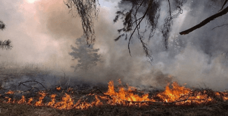 За тиждень росія завдала збитків екології України на понад 1,3 млрд гривень