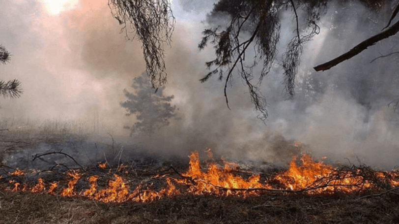 За тиждень росія завдала збитків екології України на понад 1,3 млрд гривень