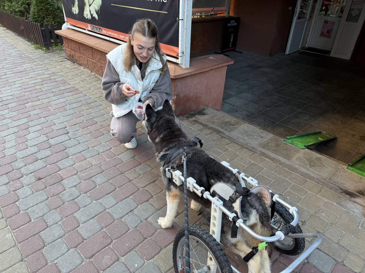Де під Києвом погуляти з песиком-спинальником