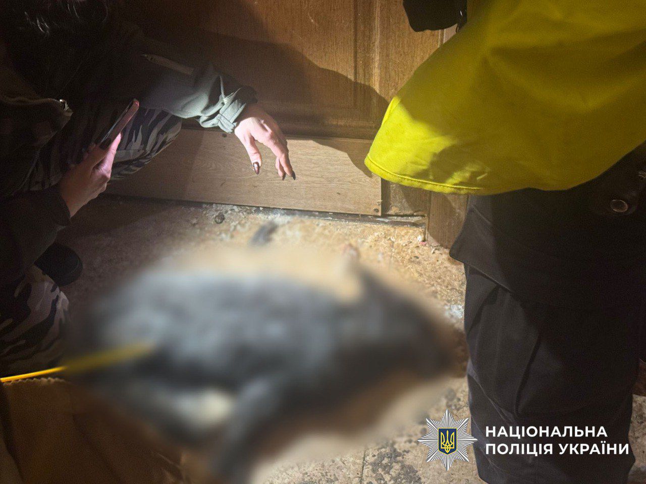 Мешканка столичної Оболоні придбала через інтернет лисицю і вовка, та утримувала хижаків в непридатних умовах (відео)