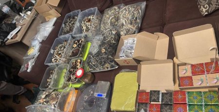 Киянин облаштував у квартирі лабораторію з вирощування псилоцибінових грибів та продавав їх під виглядом шоколадок (фото)