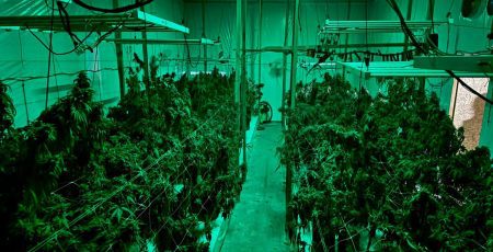 На Броварщині викрито учасників організованої групи, які облаштували нарколабораторію (фото)