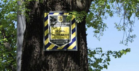 Екологи зафіксували у Києві 32 спроби знищення заповідних природних об’єктів