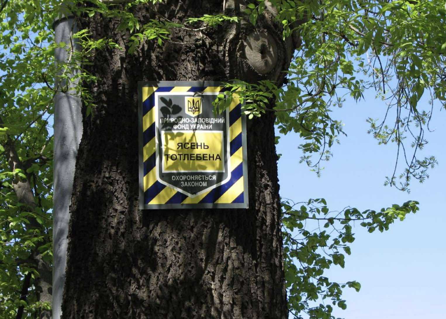 Екологи зафіксували у Києві 32 спроби знищення заповідних природних об’єктів