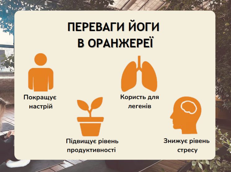 Де в Києві зайнятися йогою в оранжереї