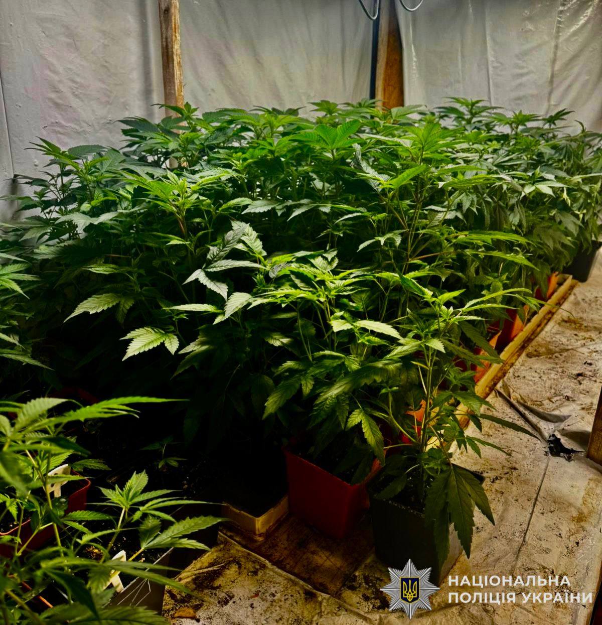 На Броварщині викрито учасників організованої групи, які облаштували нарколабораторію (фото)