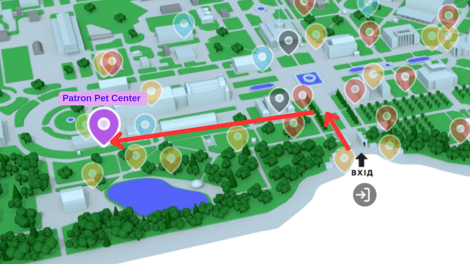 Де в Києві зустріти песика-переселенця