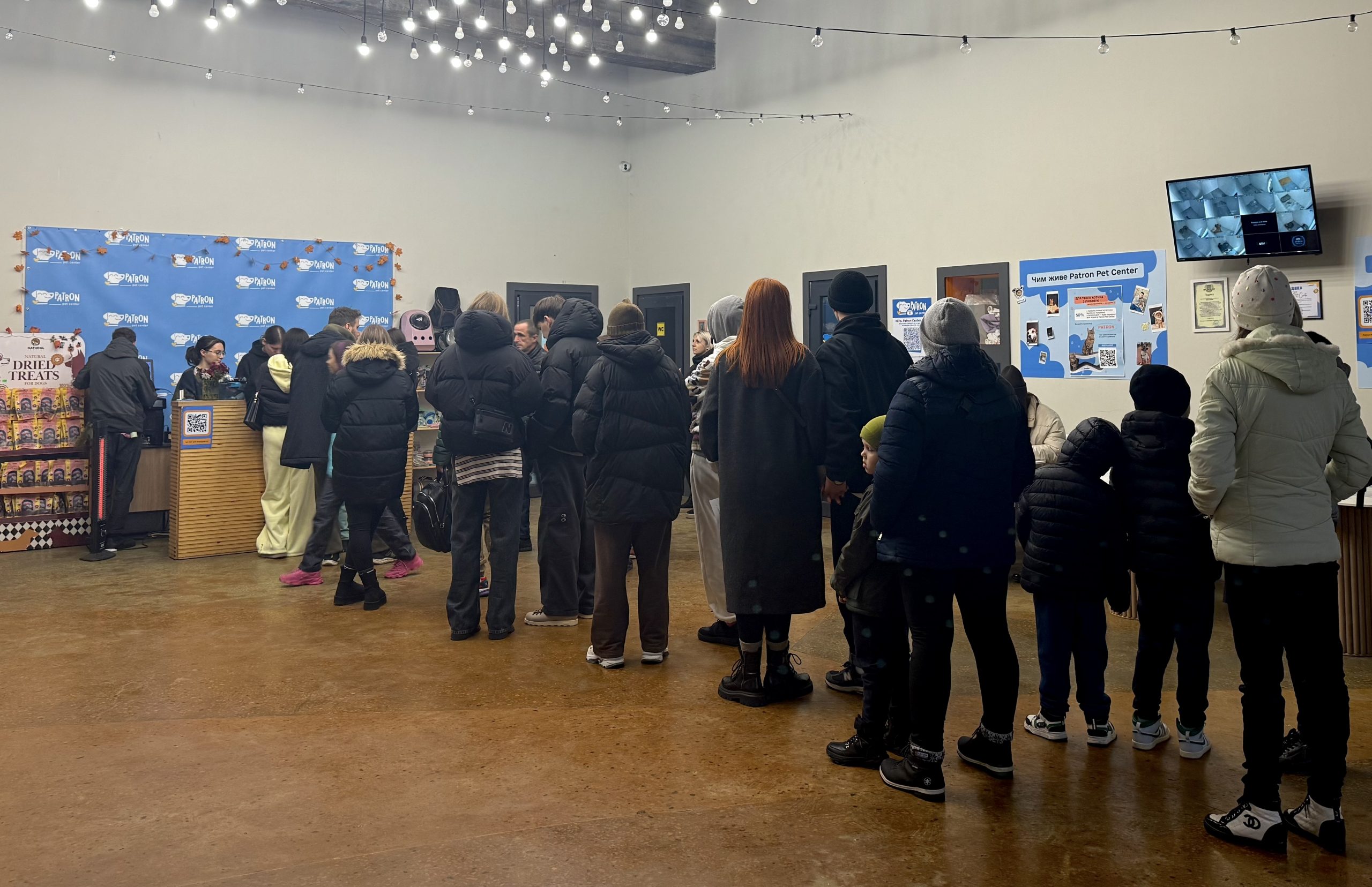 Де в Києві зустріти песика-переселенця