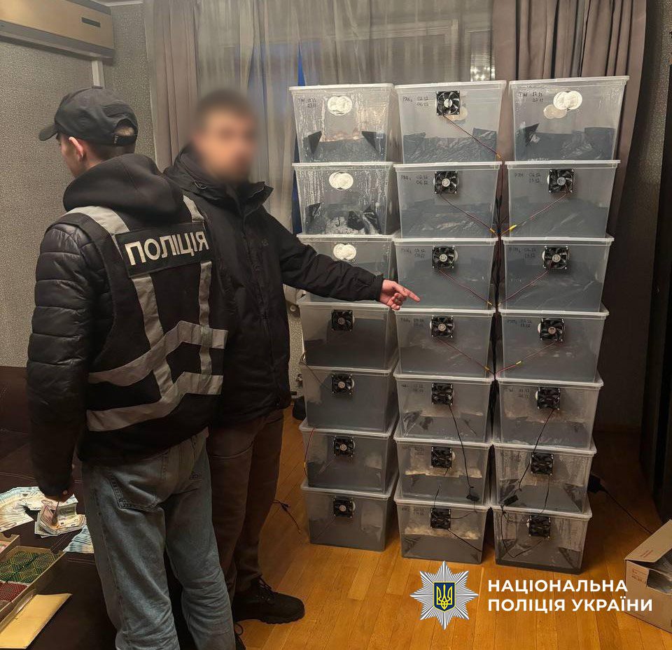 Киянин облаштував у квартирі лабораторію з вирощування псилоцибінових грибів та продавав їх під виглядом шоколадок