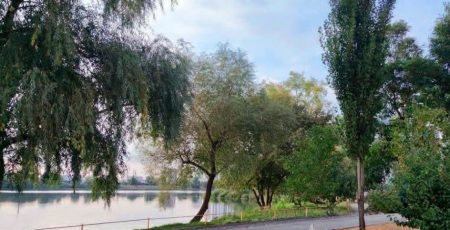 Посадовець «Київзеленбуду» підозрюється у завищенні цін під час реконструкції парку в Оболоні (фото)