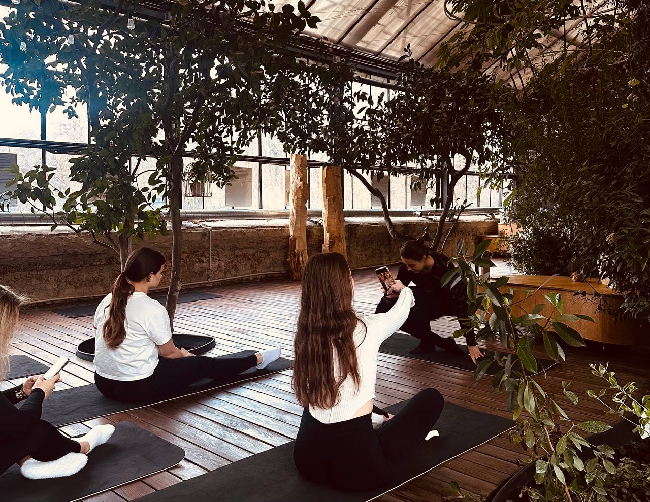 Де в Києві зайнятися йогою в оранжереї