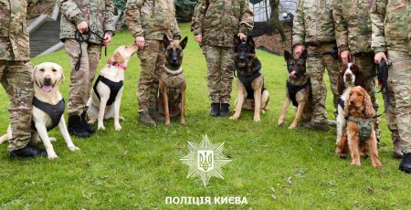 Поліцейські собаки Києва відпрацювали понад сотню виїздів і допомогли вилучити десятки кілограмів наркотиків