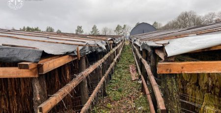 На Київщині викрили частину підпільної тютюнової мережі з оборотом понад 25 млн гривень