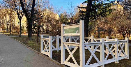 У Києві з 2 січня 72 пункти прийматимуть на утилізацію новорічні дерева (локації)