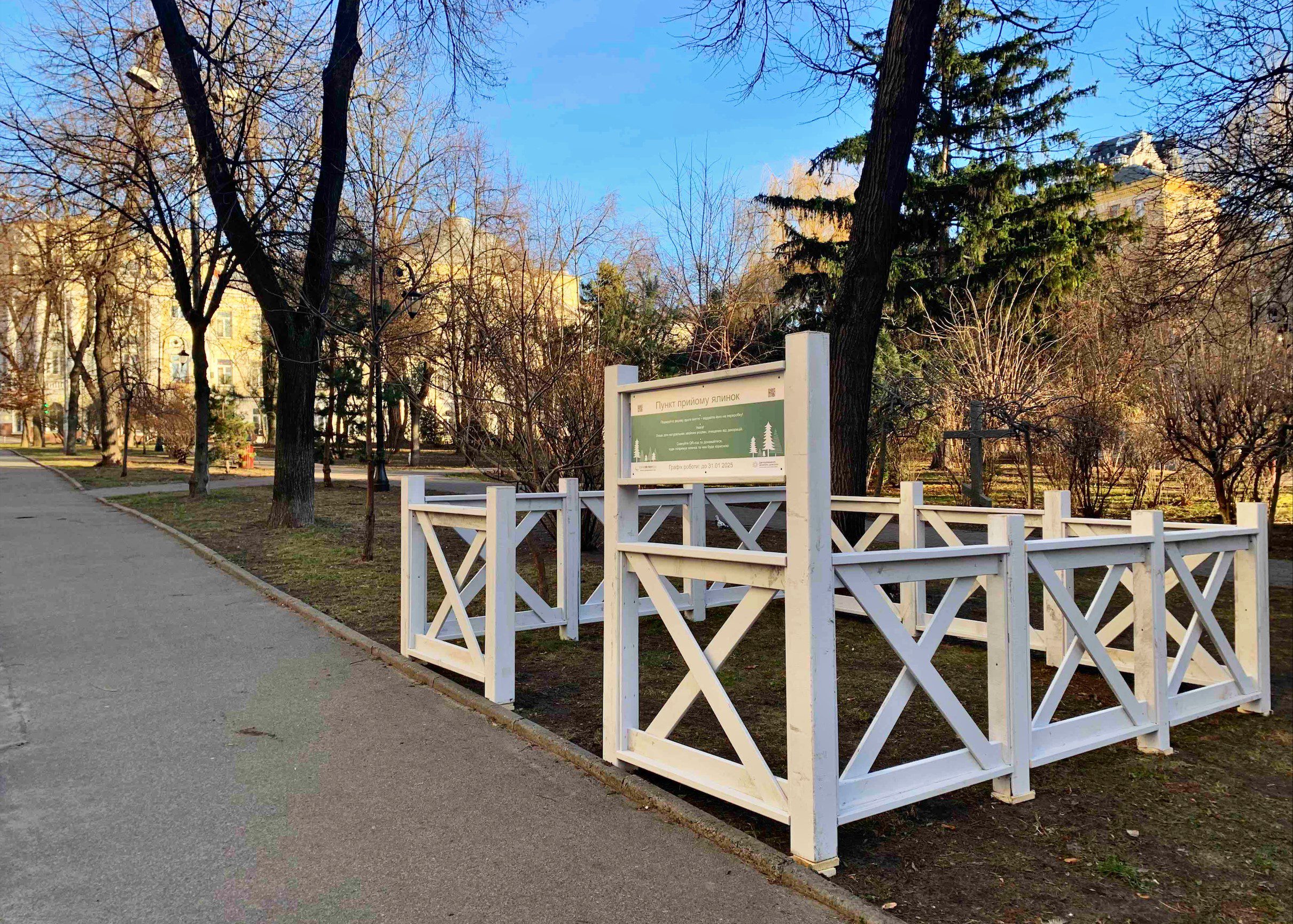 У Києві з 2 січня 72 пункти прийматимуть на утилізацію новорічні дерева (локації)