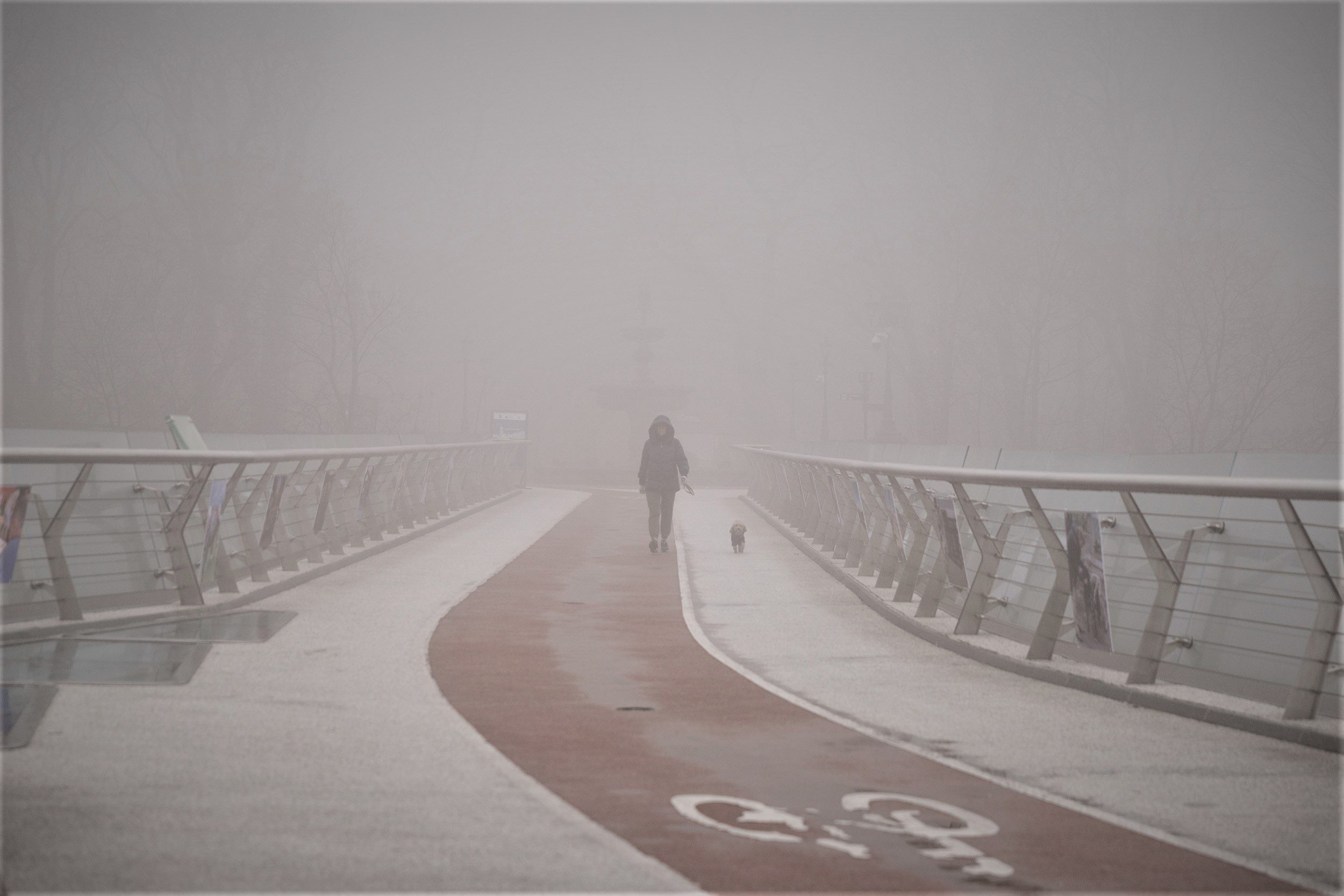 Туман і ожеледиця: зранку у понеділок у столиці небезпечна погода