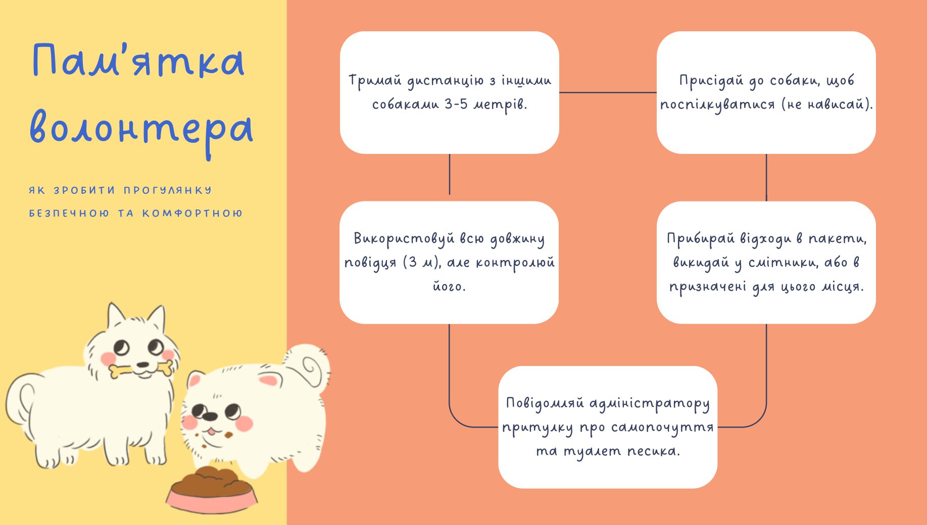 Де в Києві зустріти песика-переселенця