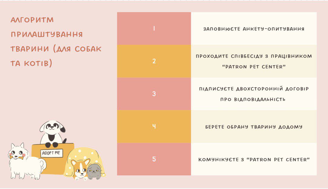 Де в Києві зустріти песика-переселенця