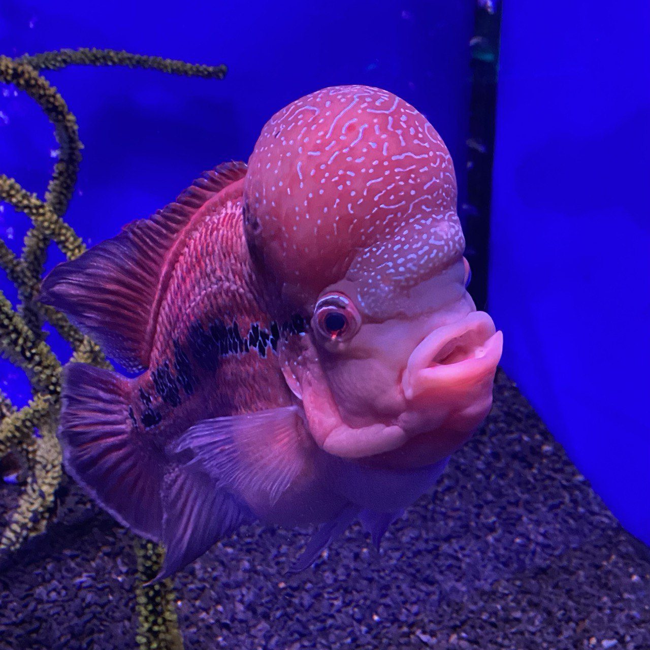 Де в Києві провести побачення: топ-5 цікавих ідей