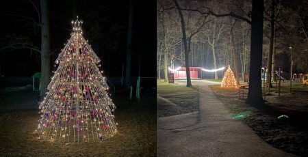 У Пісківській громаді встановили екологічну ялинку