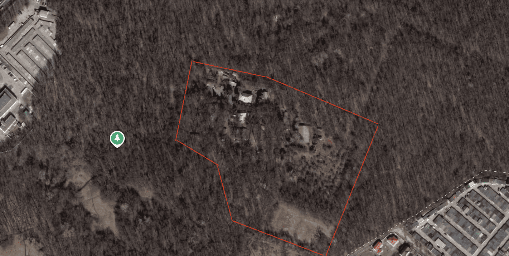 Ліс під ключ: як захистити від забудови “наукові” землі в урочищі “Теремки”